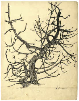 Visualizza l'immagine "FD D 2756"